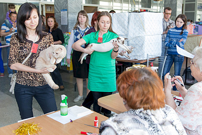 click for enlarge 1920 X 1279 665.2 Kb picture