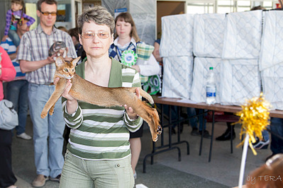 click for enlarge 1920 X 1279 550.6 Kb picture