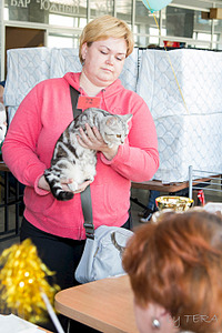 click for enlarge 1920 X 2879 522.5 Kb picture