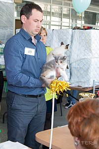 click for enlarge 1920 X 2880 666.8 Kb picture