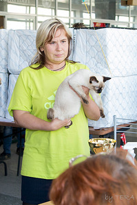 click for enlarge 1525 X 2289 455.8 Kb picture