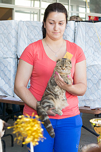 click for enlarge 1765 X 2646 712.7 Kb picture