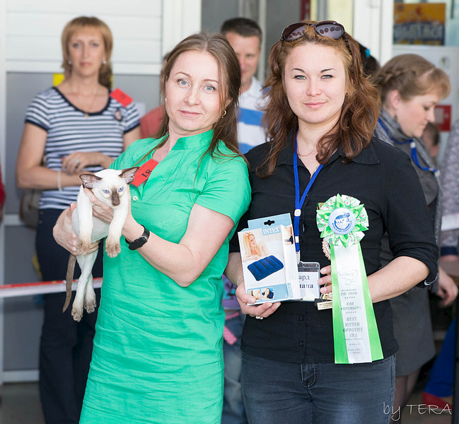 click for enlarge 1920 X 1775 899.4 Kb picture