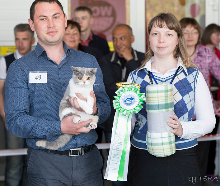 click for enlarge 1920 X 1629 847.8 Kb picture