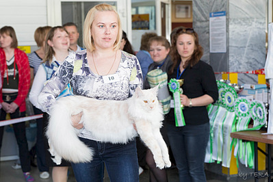 click for enlarge 1920 X 1279 506.4 Kb picture