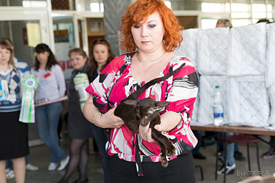 click for enlarge 1920 X 1279 567.1 Kb picture