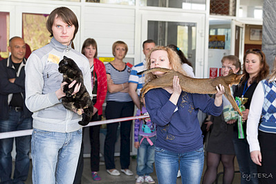 click for enlarge 1920 X 1280 564.5 Kb picture