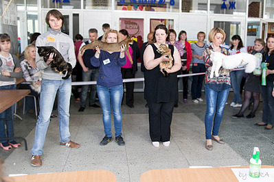 click for enlarge 1920 X 1279 694.0 Kb picture