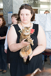 click for enlarge 1920 X 2880 413.3 Kb picture