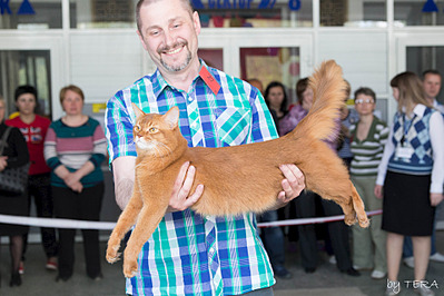 click for enlarge 1920 X 1279 697.5 Kb picture