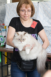 click for enlarge 1920 X 2879 442.2 Kb picture