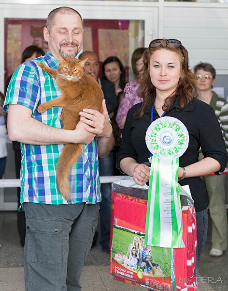 click for enlarge 1920 X 2437 491.0 Kb picture