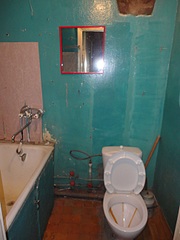 click for enlarge 972 X 1296 306.2 Kb picture