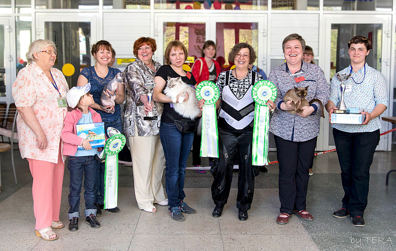 click for enlarge 1920 X 1218 891.5 Kb picture