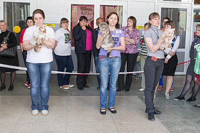 click for enlarge 1920 X 1280 1012.8 Kb picture