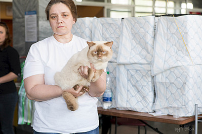 click for enlarge 1920 X 1280 481.8 Kb picture