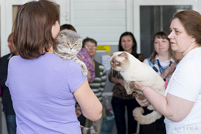 click for enlarge 1920 X 1280 551.7 Kb picture