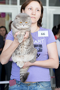 click for enlarge 1920 X 2880 519.2 Kb picture