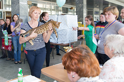 click for enlarge 1920 X 1280 619.2 Kb picture