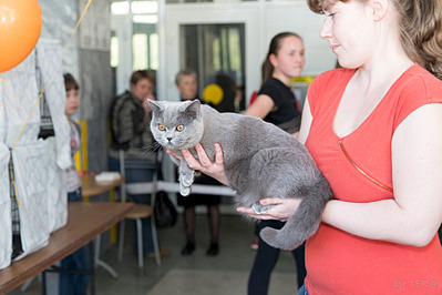 click for enlarge 1920 X 1279 497.0 Kb picture