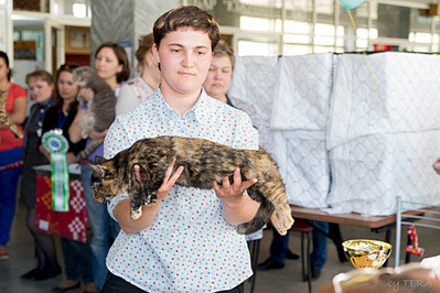 click for enlarge 1920 X 1279 637.4 Kb picture