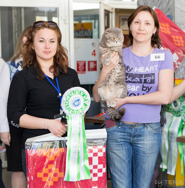 click for enlarge 1920 X 1952 402.6 Kb picture