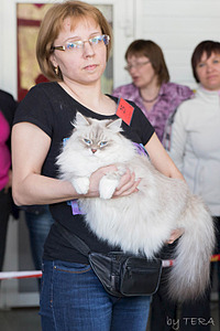 click for enlarge 1920 X 2880 410.3 Kb picture