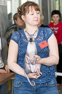 click for enlarge 1920 X 2880 625.6 Kb picture