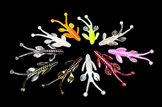 click for enlarge 800 X 530  98.6 Kb picture