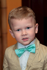 click for enlarge 1300 X 1950 141.9 Kb picture