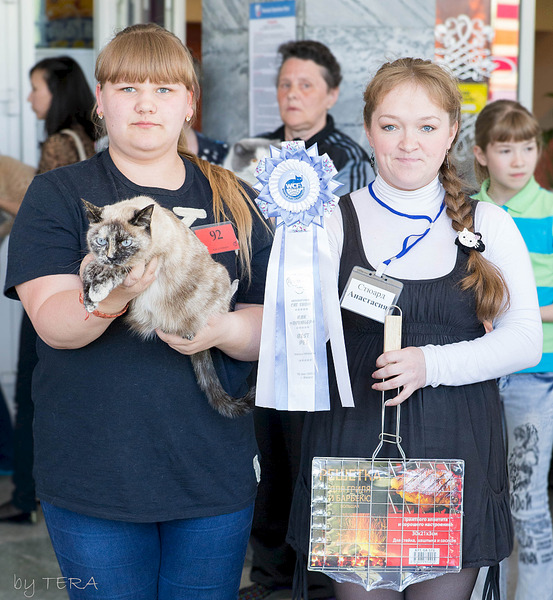 click for enlarge 1920 X 2082 406.5 Kb picture