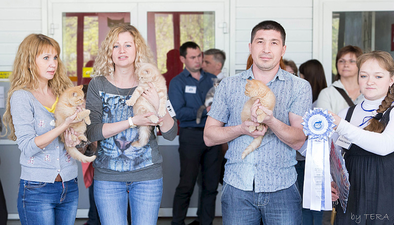 click for enlarge 1920 X 1097 696.6 Kb picture