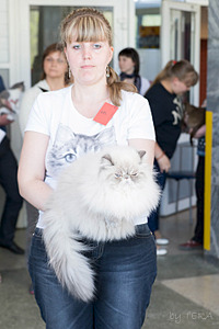 click for enlarge 1920 X 2880 926.0 Kb picture