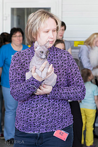 click for enlarge 1920 X 2879 713.5 Kb picture