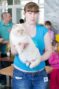 click for enlarge 1920 X 2879 429.8 Kb picture