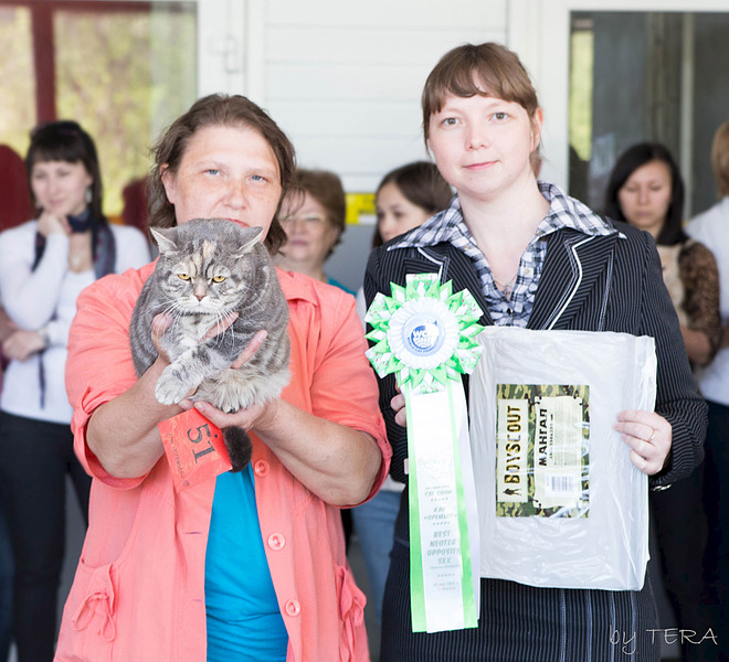 click for enlarge 1920 X 1744 788.8 Kb picture