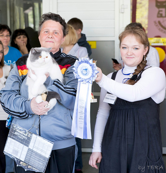 click for enlarge 1920 X 2008 342.4 Kb picture