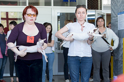 click for enlarge 1920 X 1280 526.2 Kb picture