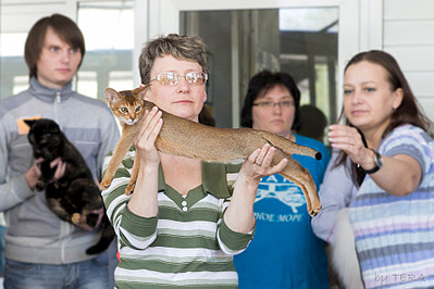 click for enlarge 1920 X 1280 512.7 Kb picture