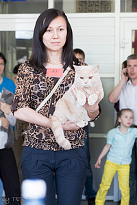 click for enlarge 1920 X 2878 509.2 Kb picture