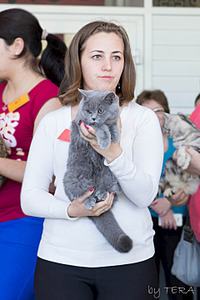 click for enlarge 1920 X 2880 978.8 Kb picture