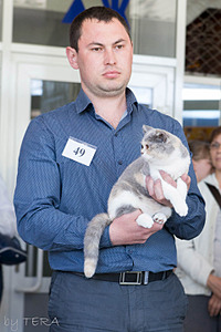 click for enlarge 1920 X 2880 523.4 Kb picture