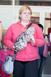 click for enlarge 1920 X 2880 410.1 Kb picture