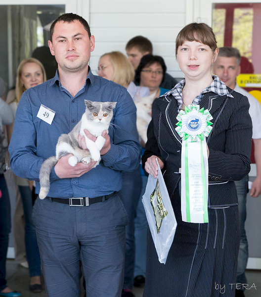 click for enlarge 1920 X 2181 426.0 Kb picture