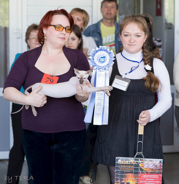 click for enlarge 1920 X 1974 851.5 Kb picture