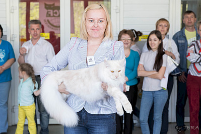 click for enlarge 1920 X 1280 507.8 Kb picture