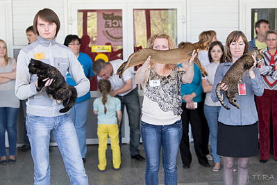 click for enlarge 1920 X 1280 636.0 Kb picture