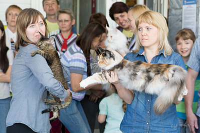 click for enlarge 1920 X 1279 662.6 Kb picture