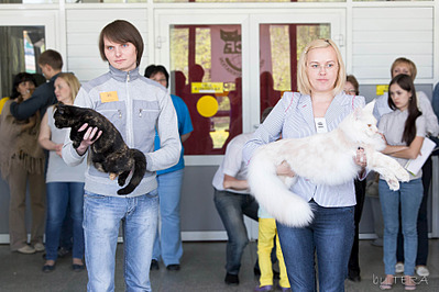 click for enlarge 1920 X 1279 527.0 Kb picture