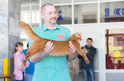 click for enlarge 1920 X 1261 691.7 Kb picture